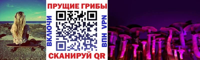 Псилоцибиновые грибы Psilocybe  нарко площадка состав  Малоархангельск  дарнет шоп 